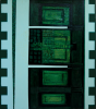 Green Escarpment (1960) - Oil  Panel 51 cms x 91.5 cms